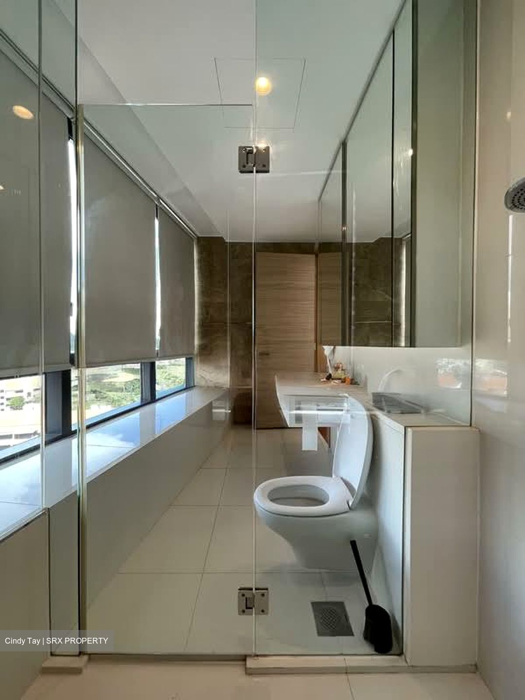 D'Leedon (D10), Condominium #580825451